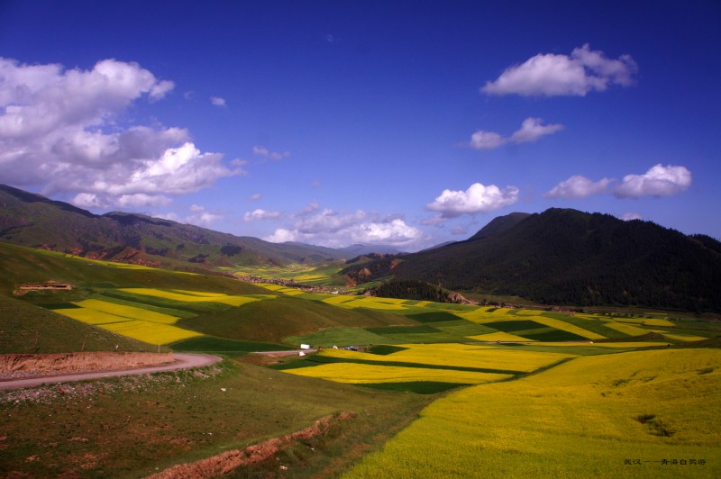 conew_dsc06696n1.jpg