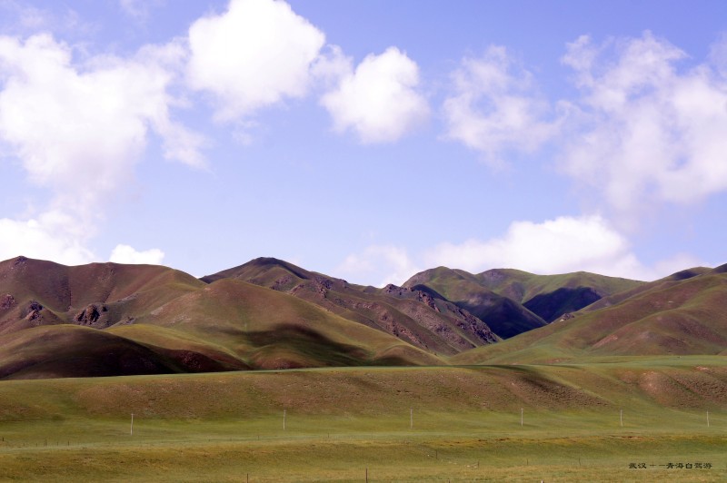 conew_dsc06607n.jpg