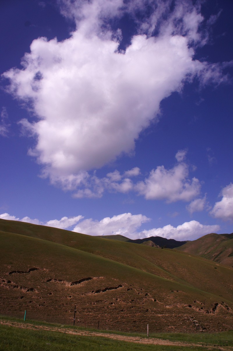 conew_dsc06658n.jpg