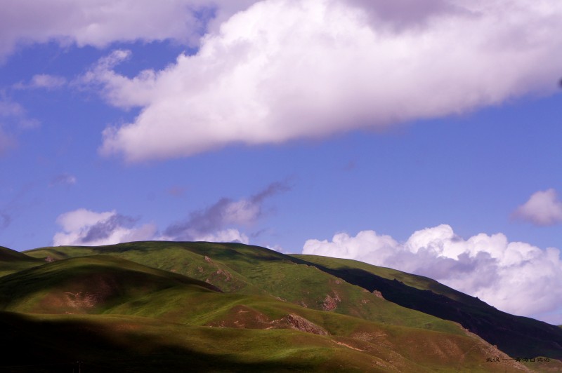 conew_dsc06647n.jpg