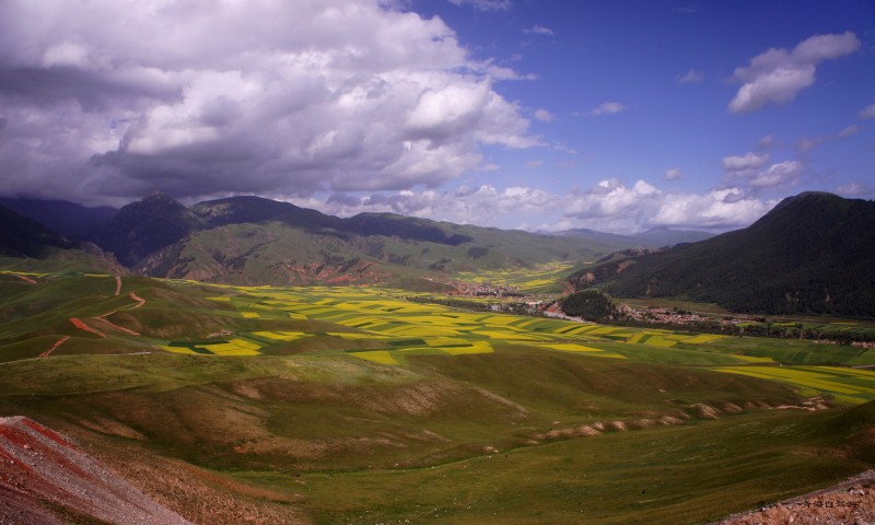 conew_dsc06701n.jpg