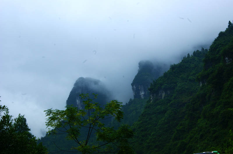 dsc08102.jpg