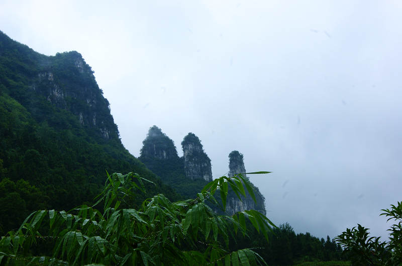 dsc08101.jpg