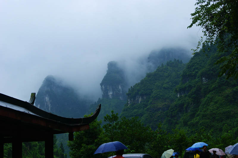 dsc08094.jpg