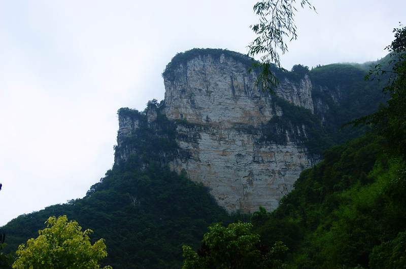 dsc08117.jpg