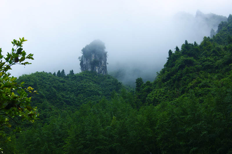dsc08116.jpg