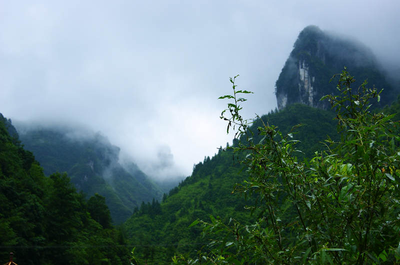 dsc08115.jpg