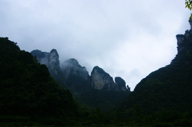dsc08118.jpg