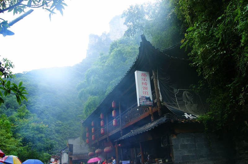 dsc08126.jpg
