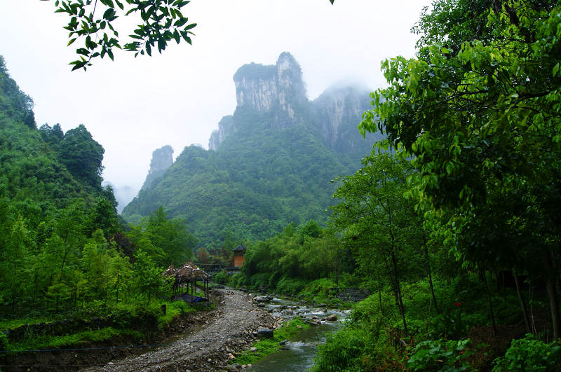 dsc08123.jpg
