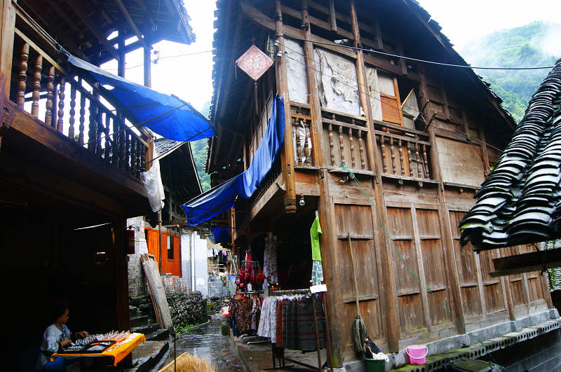 dsc08174.jpg