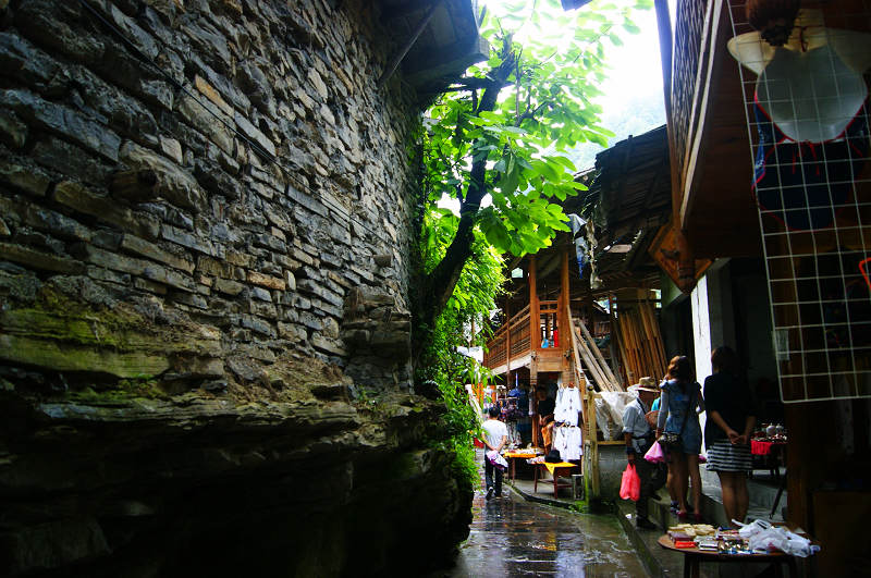 dsc08176.jpg