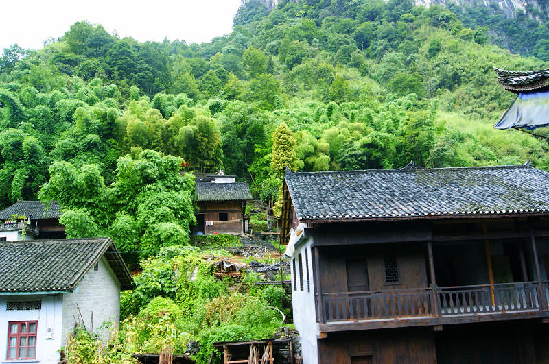 dsc08178.jpg