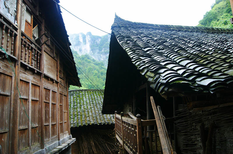 dsc08175.jpg