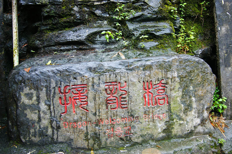 dsc08183.jpg