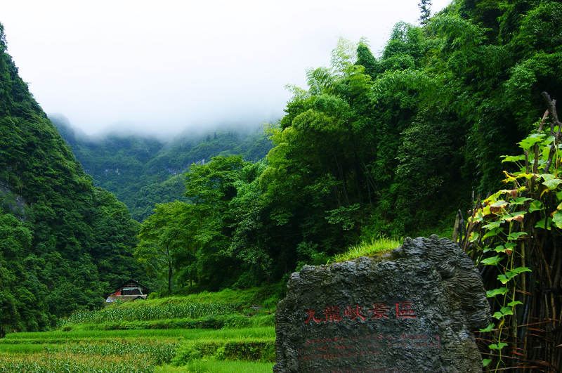dsc08190.jpg