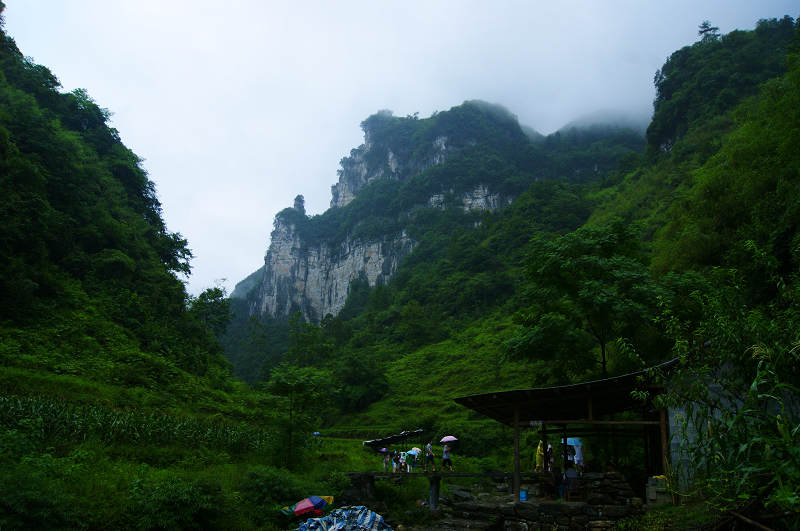 dsc08193.jpg