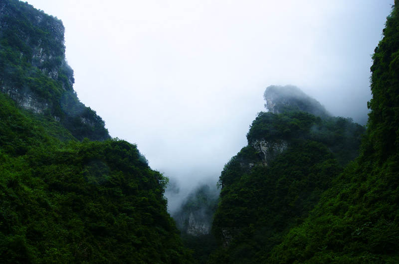 dsc08207.jpg