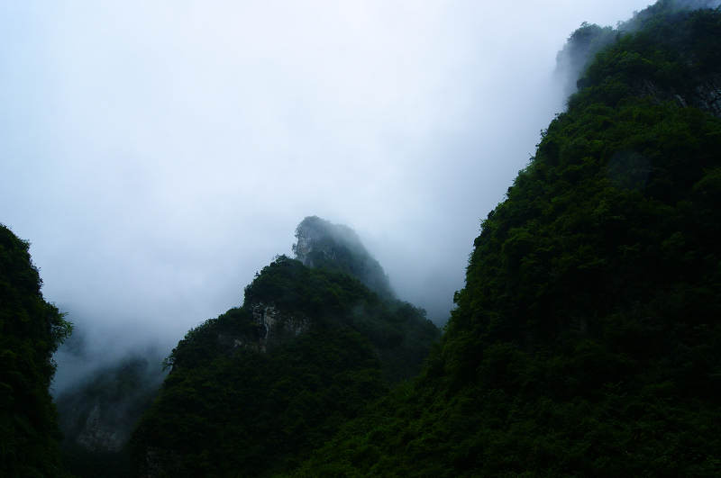 dsc08206.jpg