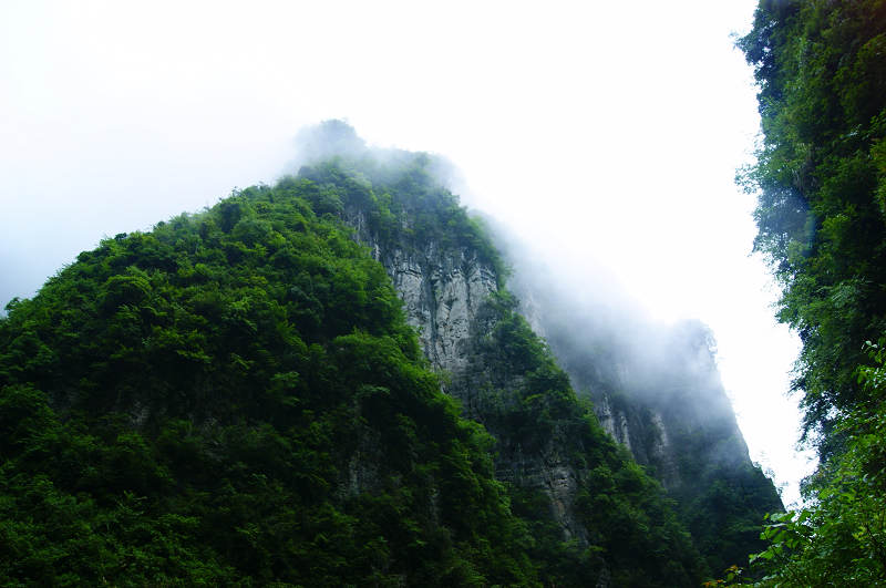dsc08205.jpg