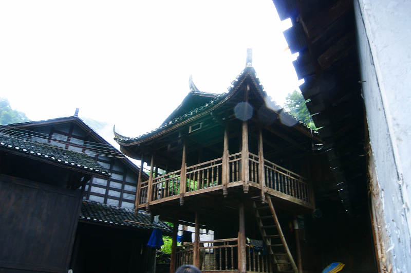 dsc08224.jpg