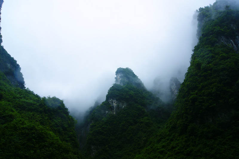 dsc08218.jpg