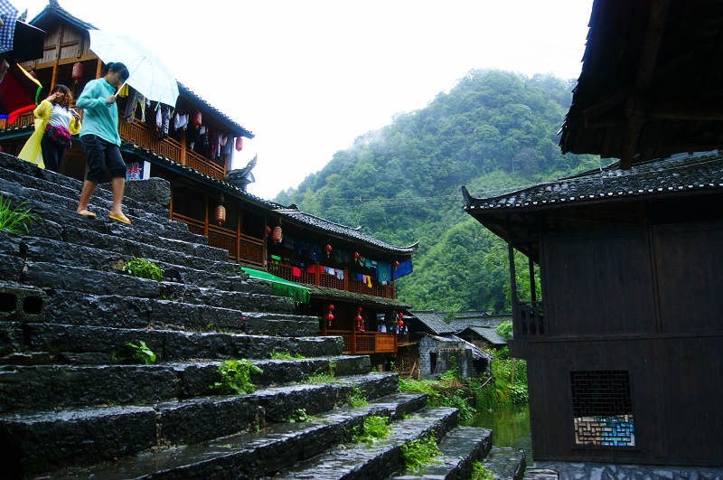 dsc08228.jpg