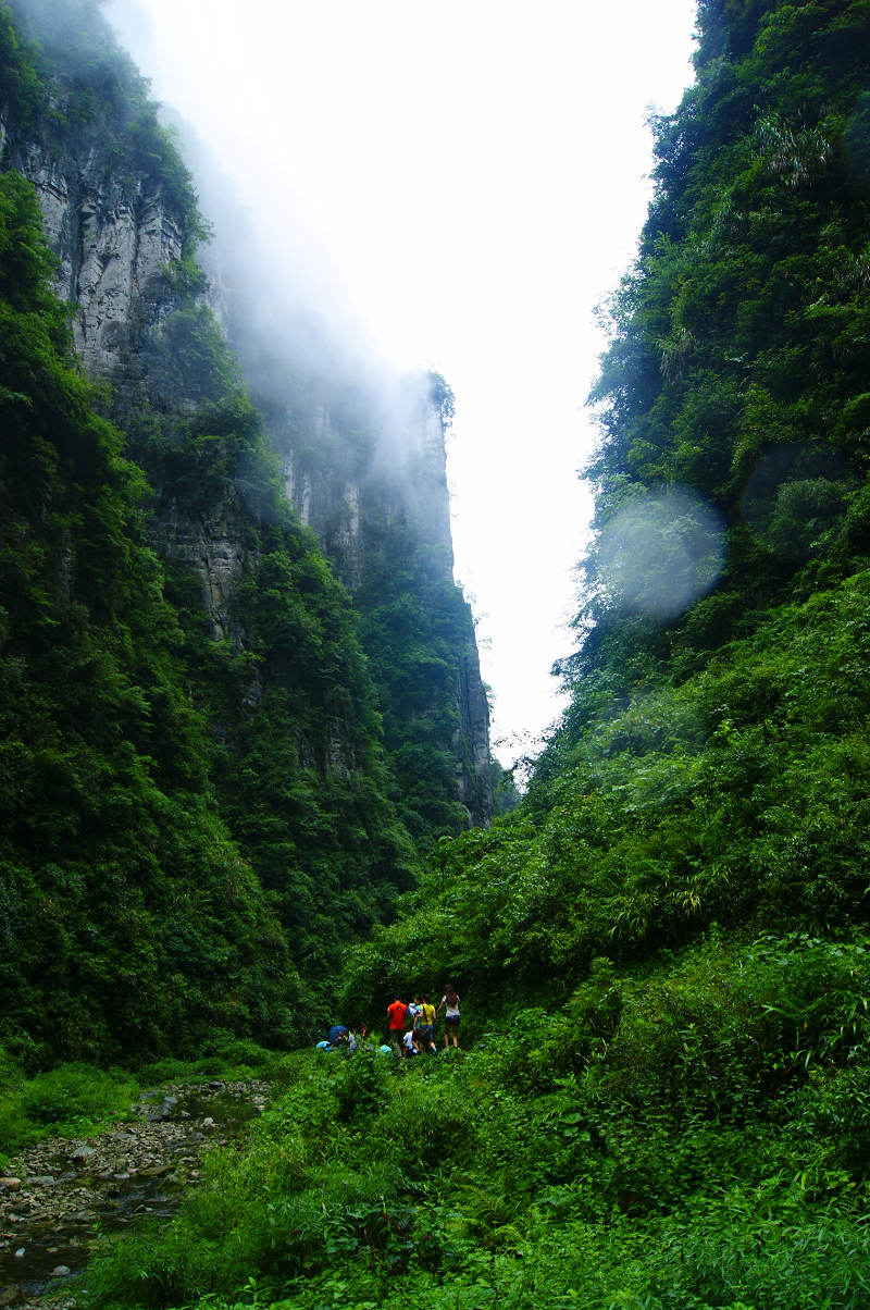 dsc08211.jpg