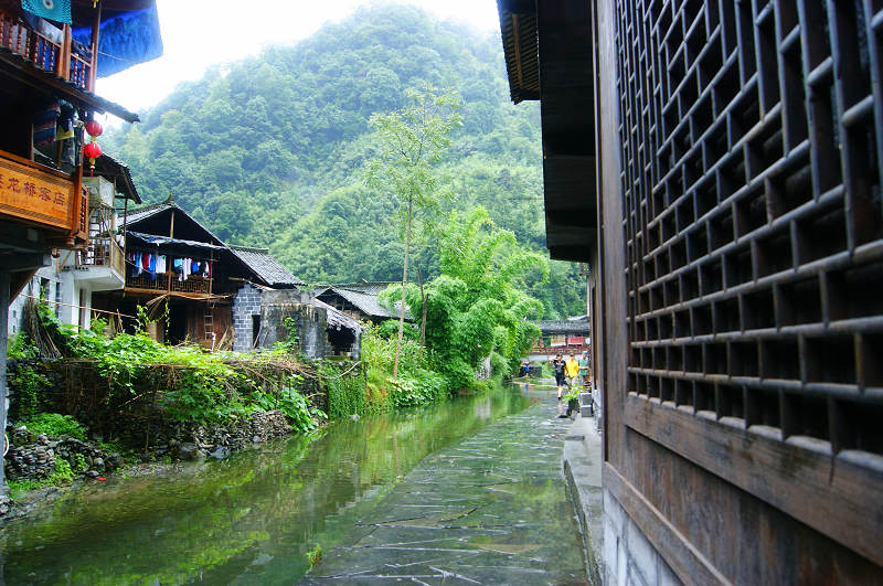 dsc08230.jpg