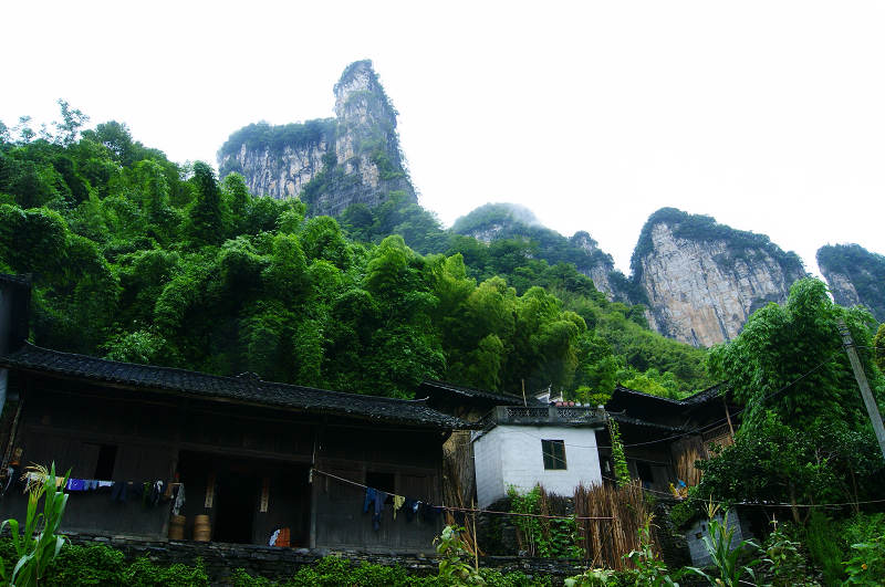 dsc08235.jpg