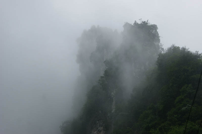 dsc08198.jpg