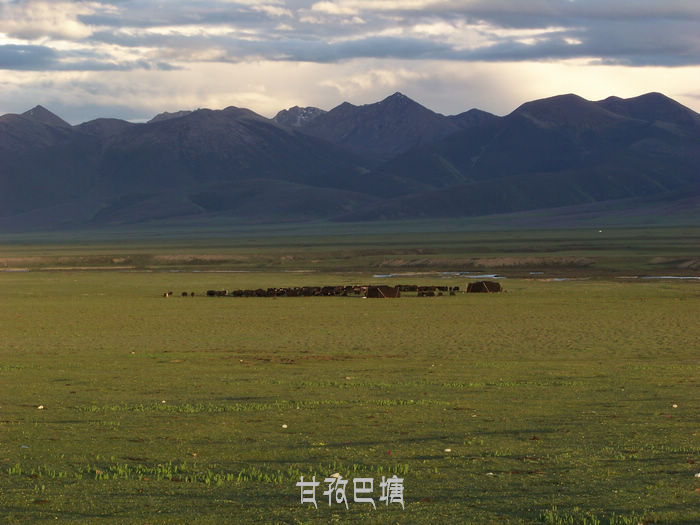 20110617uĴΰ (25).jpg