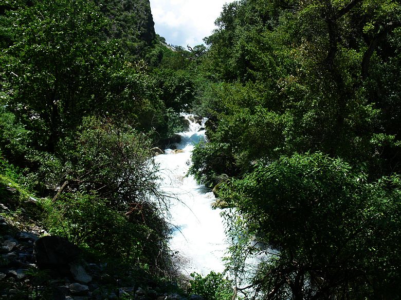 p1150776.jpg