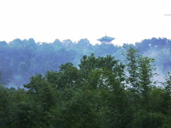 100_5611.jpg