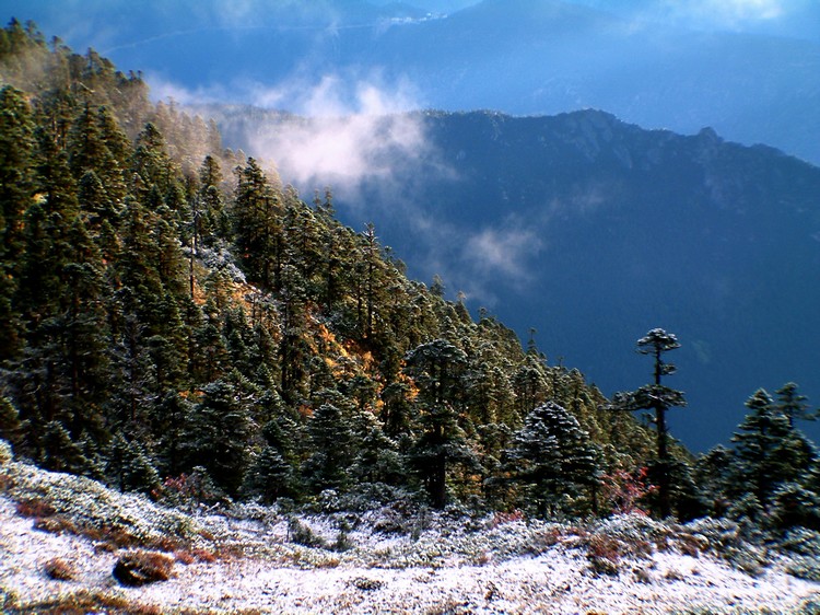 dscf0409.jpg
