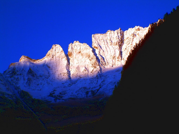 dscf0207.jpg