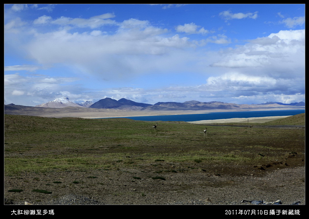_mg_3221.jpg
