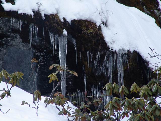 С 201022114224352.jpg