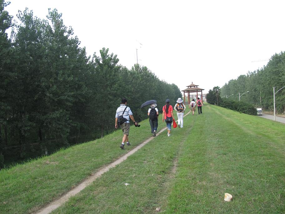 img_7955.jpg