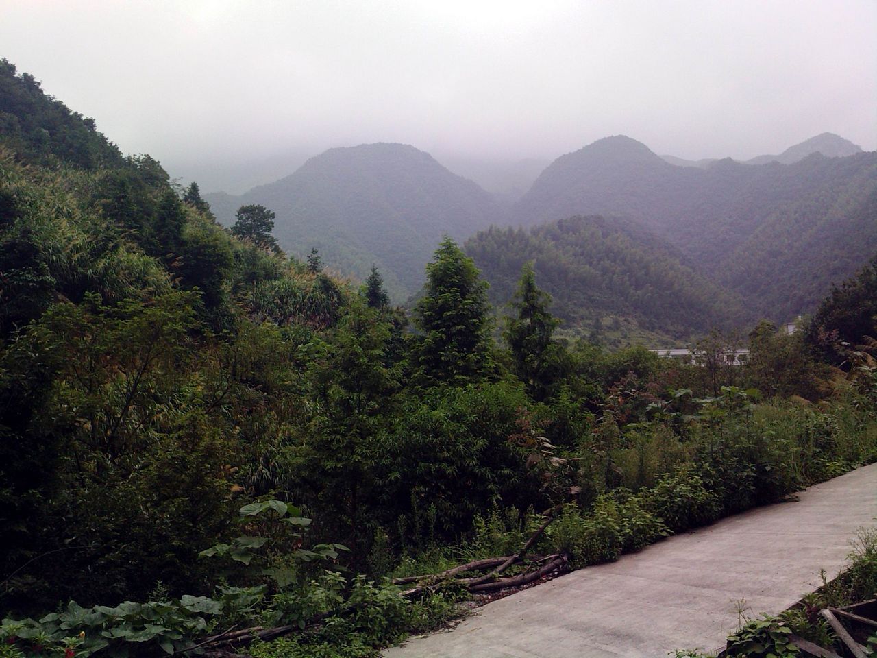 lgim0009.jpg
