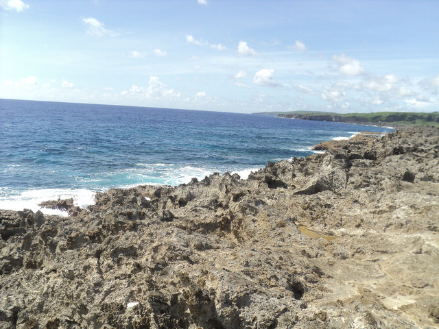 dsc02893.jpg
