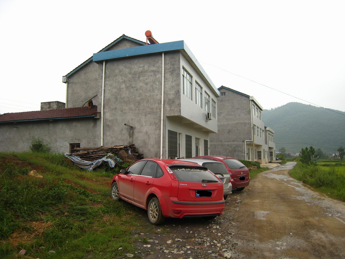 010.jpg