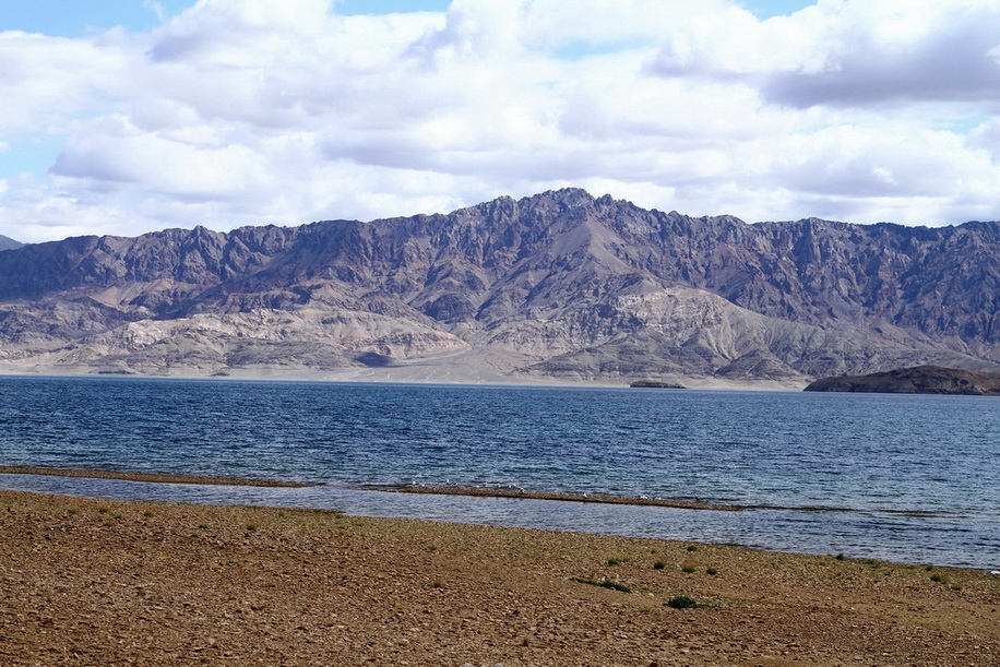 img_7918.jpg