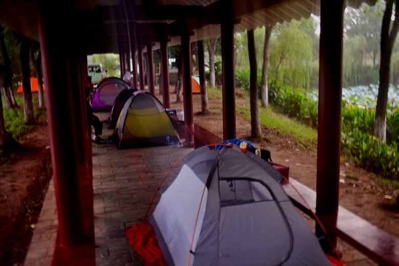  260_conew1.jpg