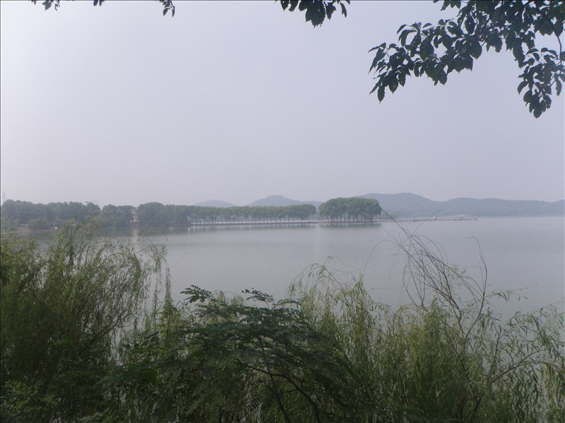 imgp1584.jpg