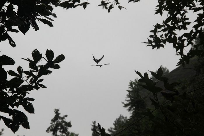 img_6641.jpg
