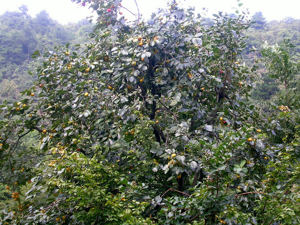 39.jpg