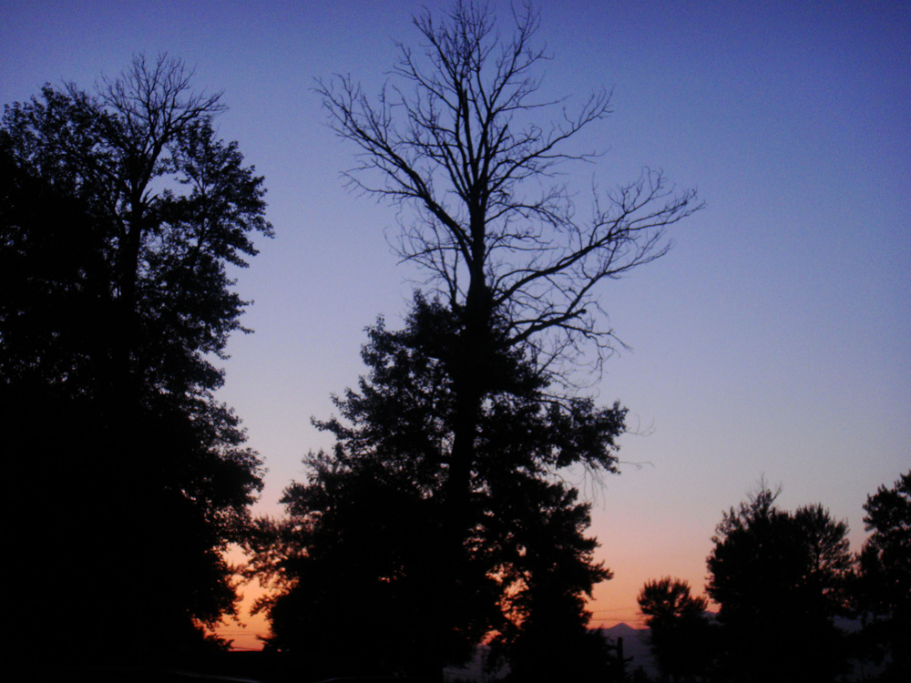 dsc06249.jpg