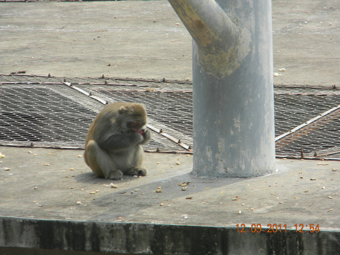 dscn7514.jpg