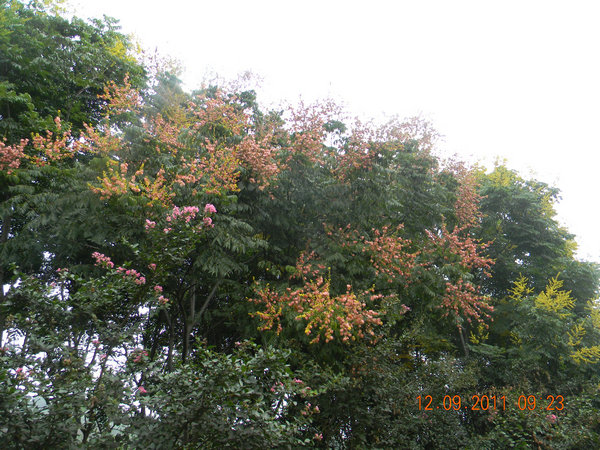 dscn7349.jpg